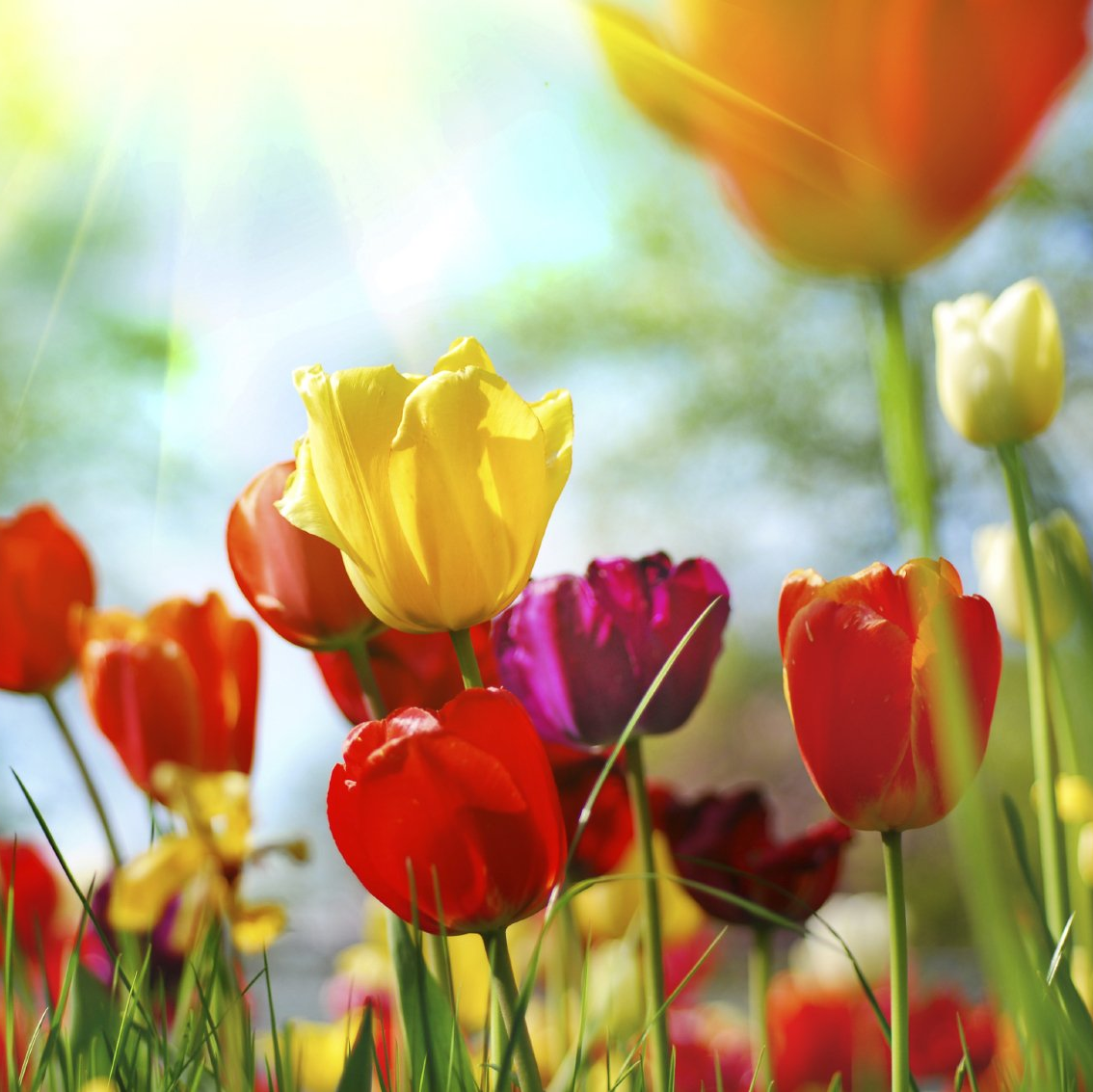 saisonales & festliches