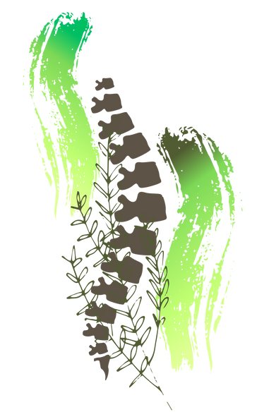 Natürliche Behandlung von Rückenschmerzen