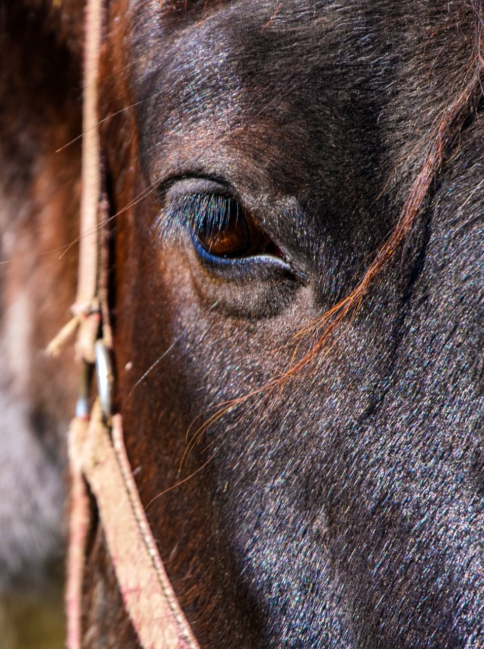 Bild von NickyPe auf Pixabay