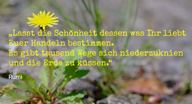 Lasst die Schönheit dessen war Ihr liebt Euer Handeln bestimmen.