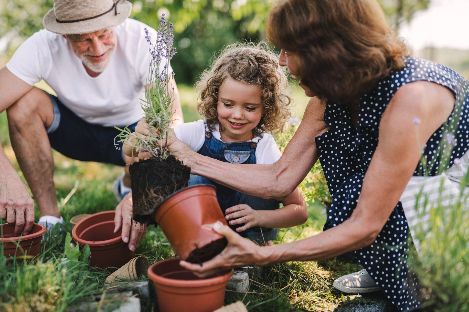 Estate Planning