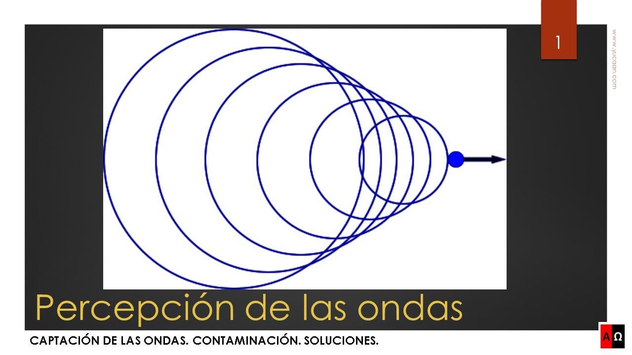 Ver vídeo