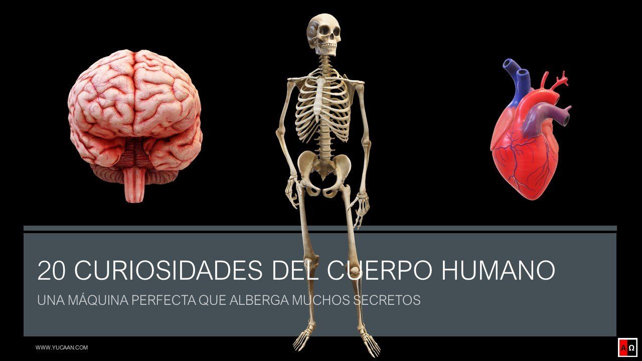 Ver vídeo