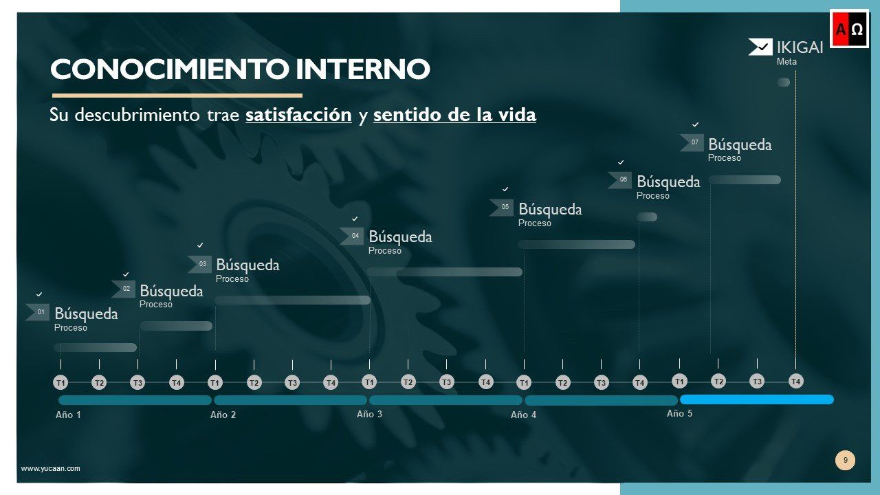 Ver vídeo