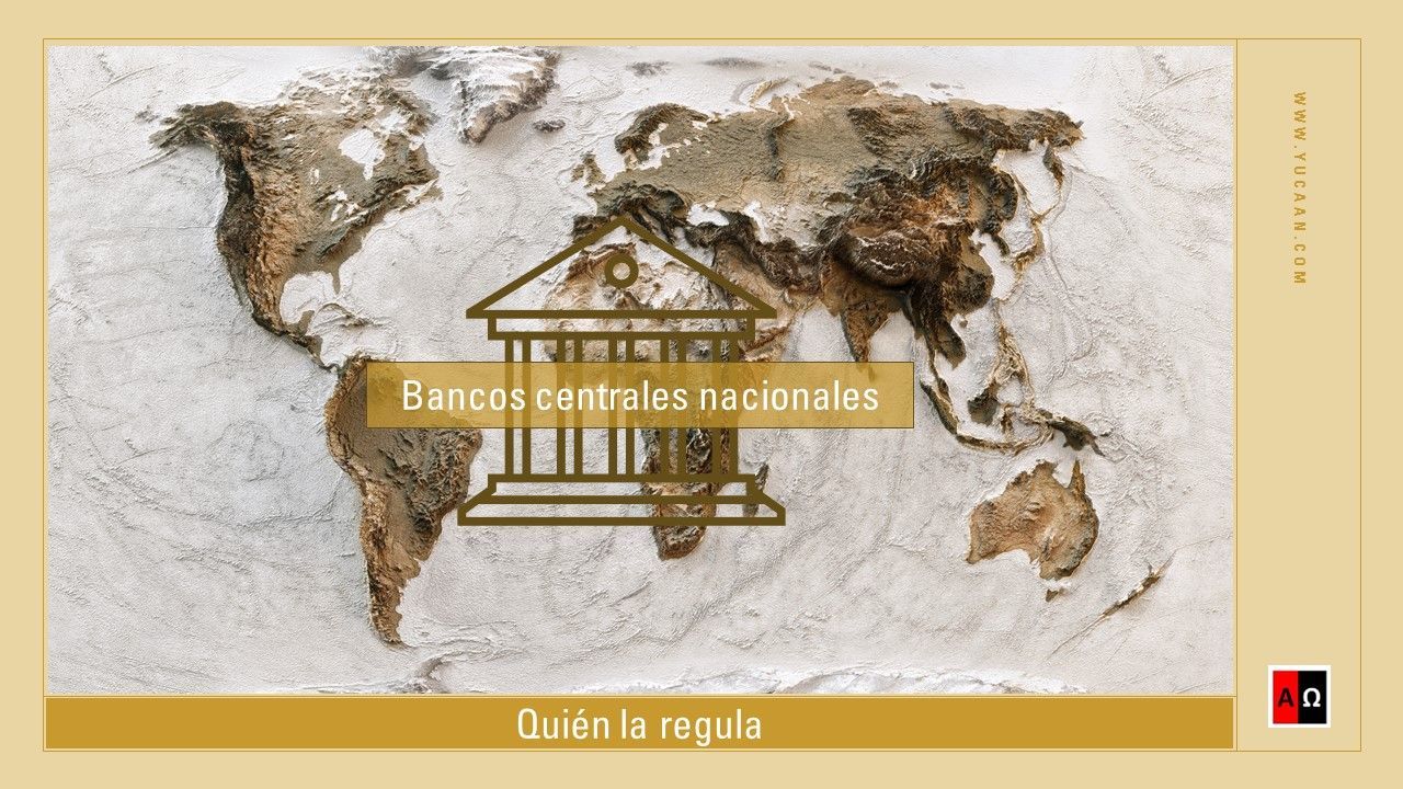 Ver vídeo