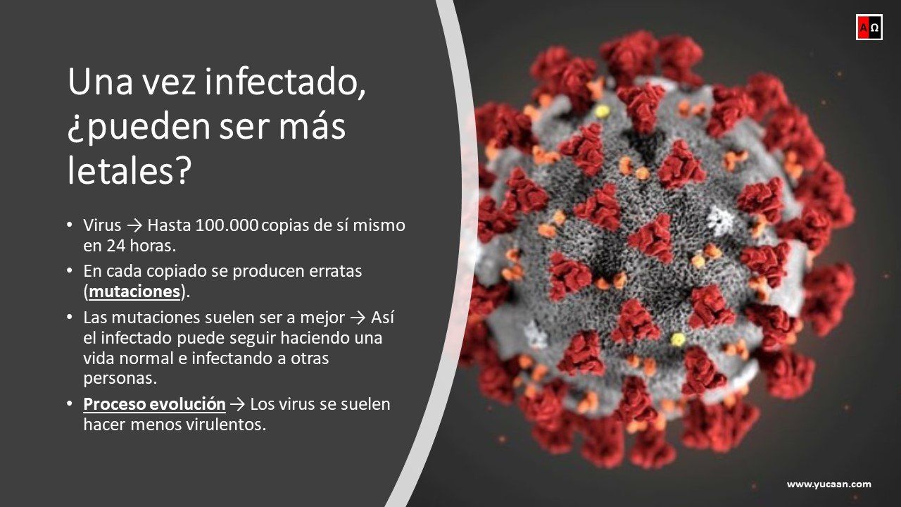 Ver vídeo