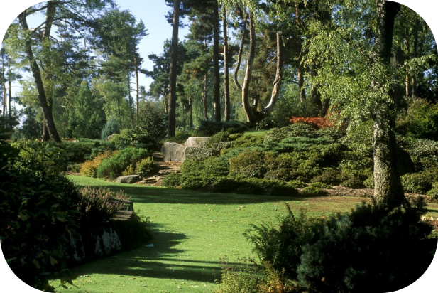 photographie du jardin