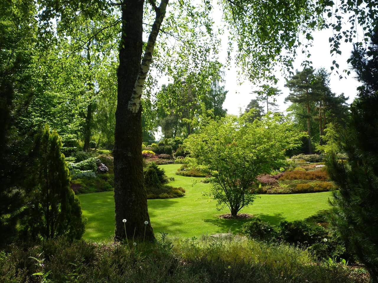 photographie du jardin