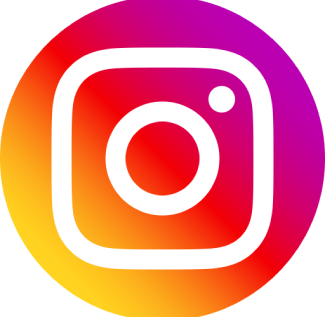 icone instagram