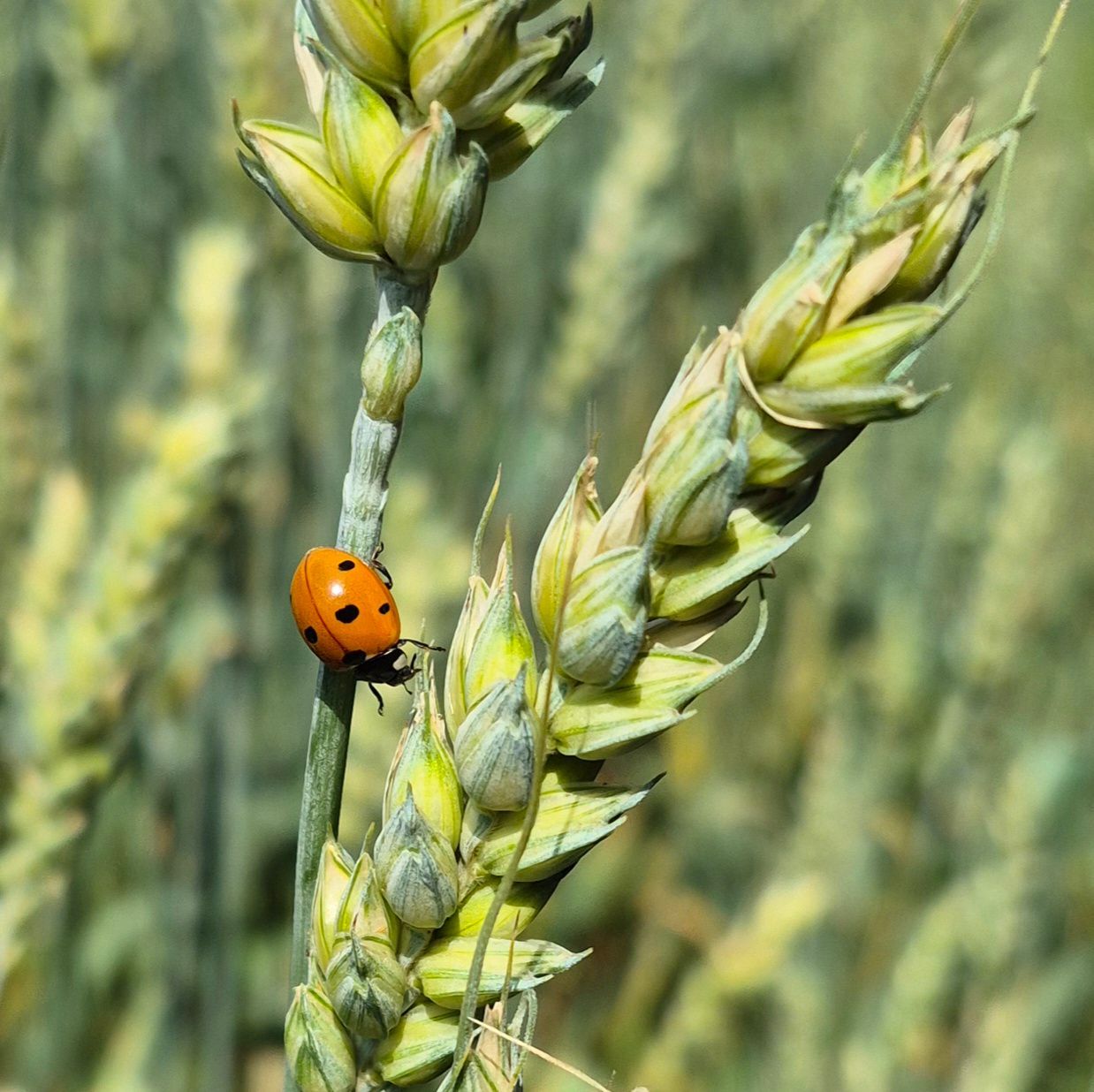 Entspannung Freude Selbstliebe