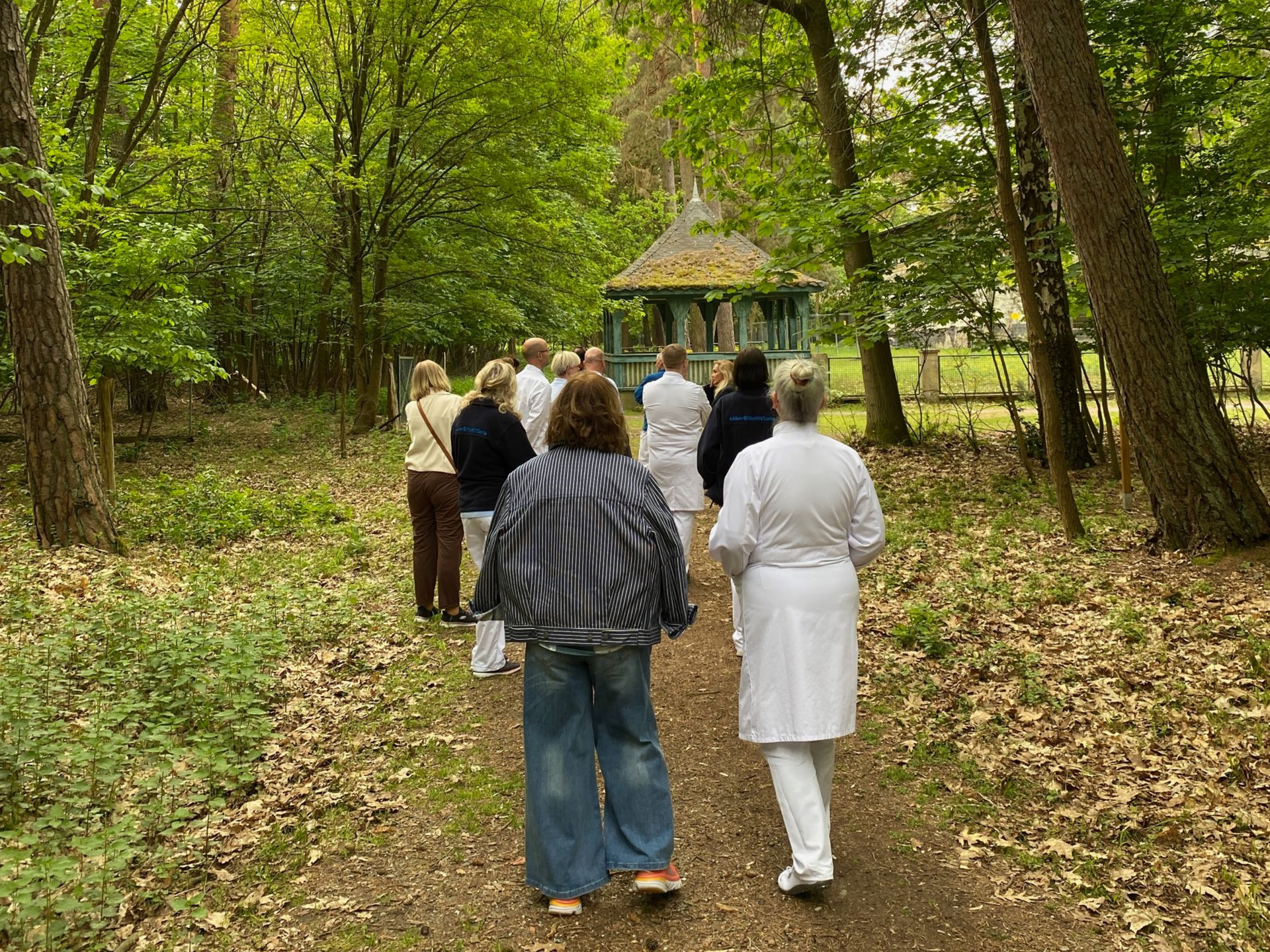 Participants exploring the Forest Therapy Trail at Sana Kliniken Sommerfeld, Germany