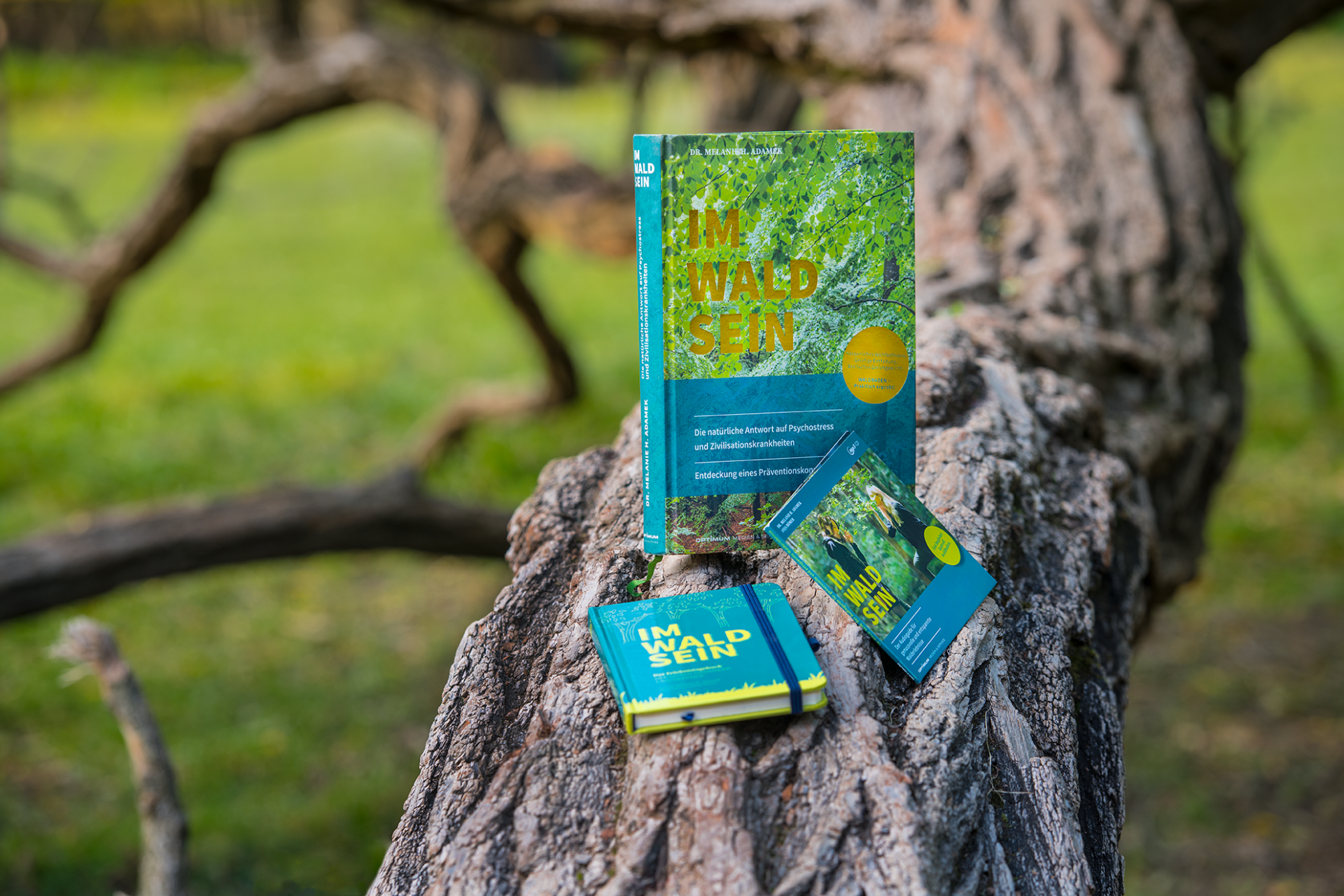 Medien des Waldbaden-Programms IM-WALD-SEIN® Individuell präsentiert auf einem Baumstamm. Shinrin Yoku im Grünen