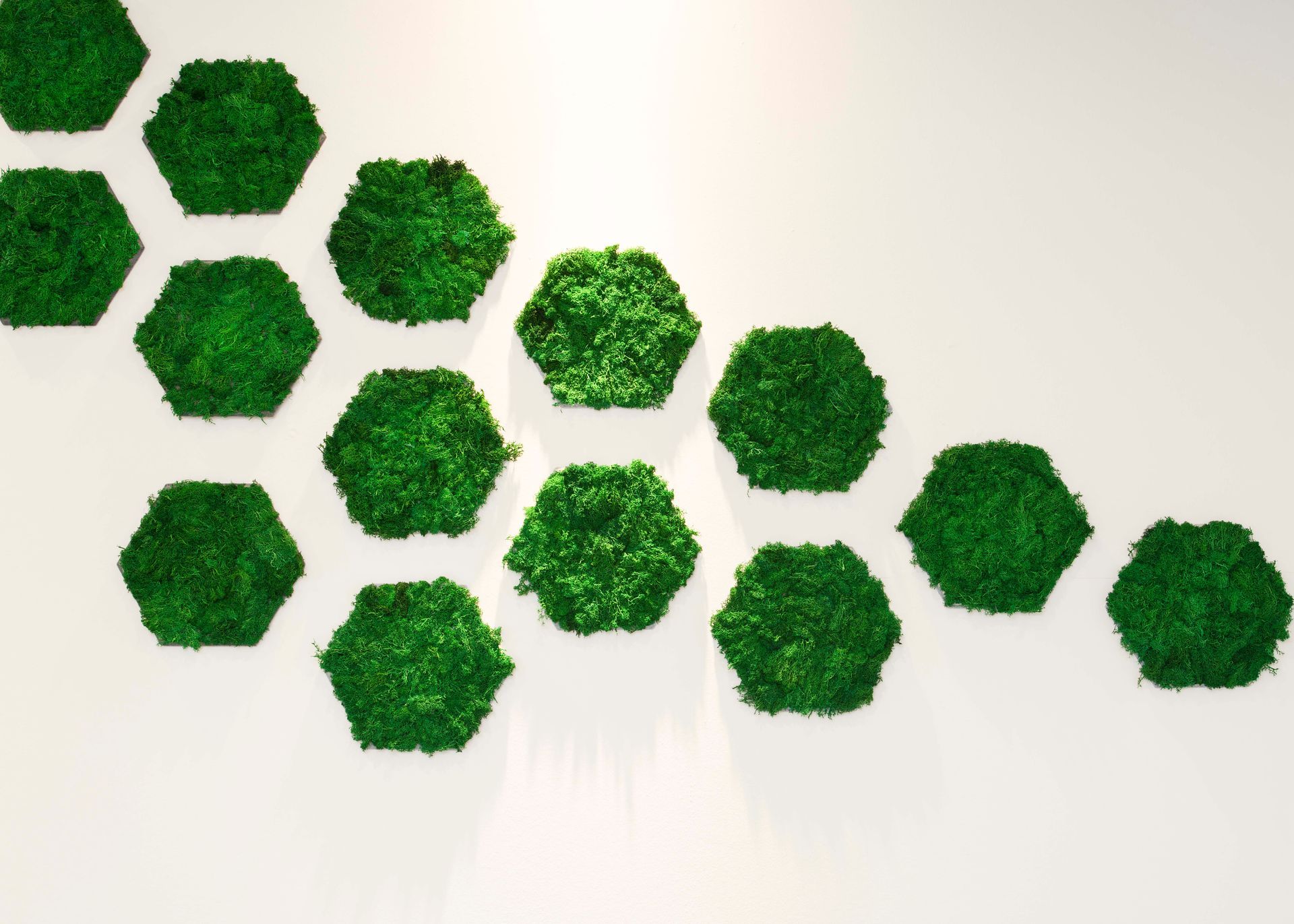 IM-WALD-SEIN® City Offices|Tumblingerstr. 14, 80337 Munich, Germany|Office