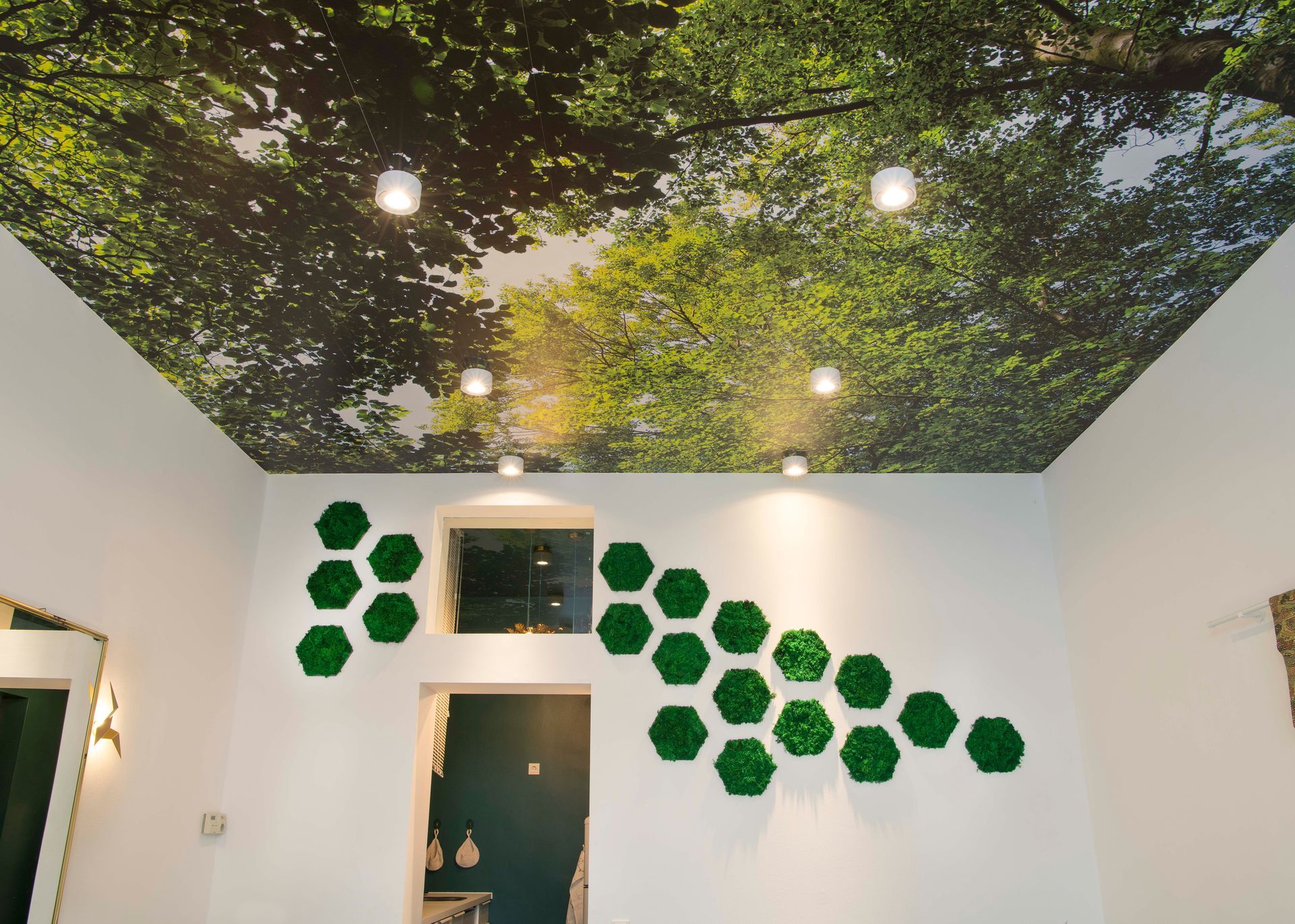 IM-WALD-SEIN® City Offices|Co-working|Tumblingerstr. 14, 80337 München|Büro „Kronendach“|Wanddekor: Moos, Waldtapete, Lampen