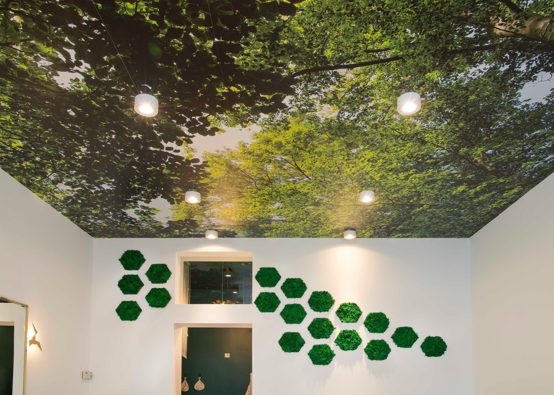 IM-WALD-SEIN® City Offices, Tumblingerstr. 14, 80337 Munich|Office