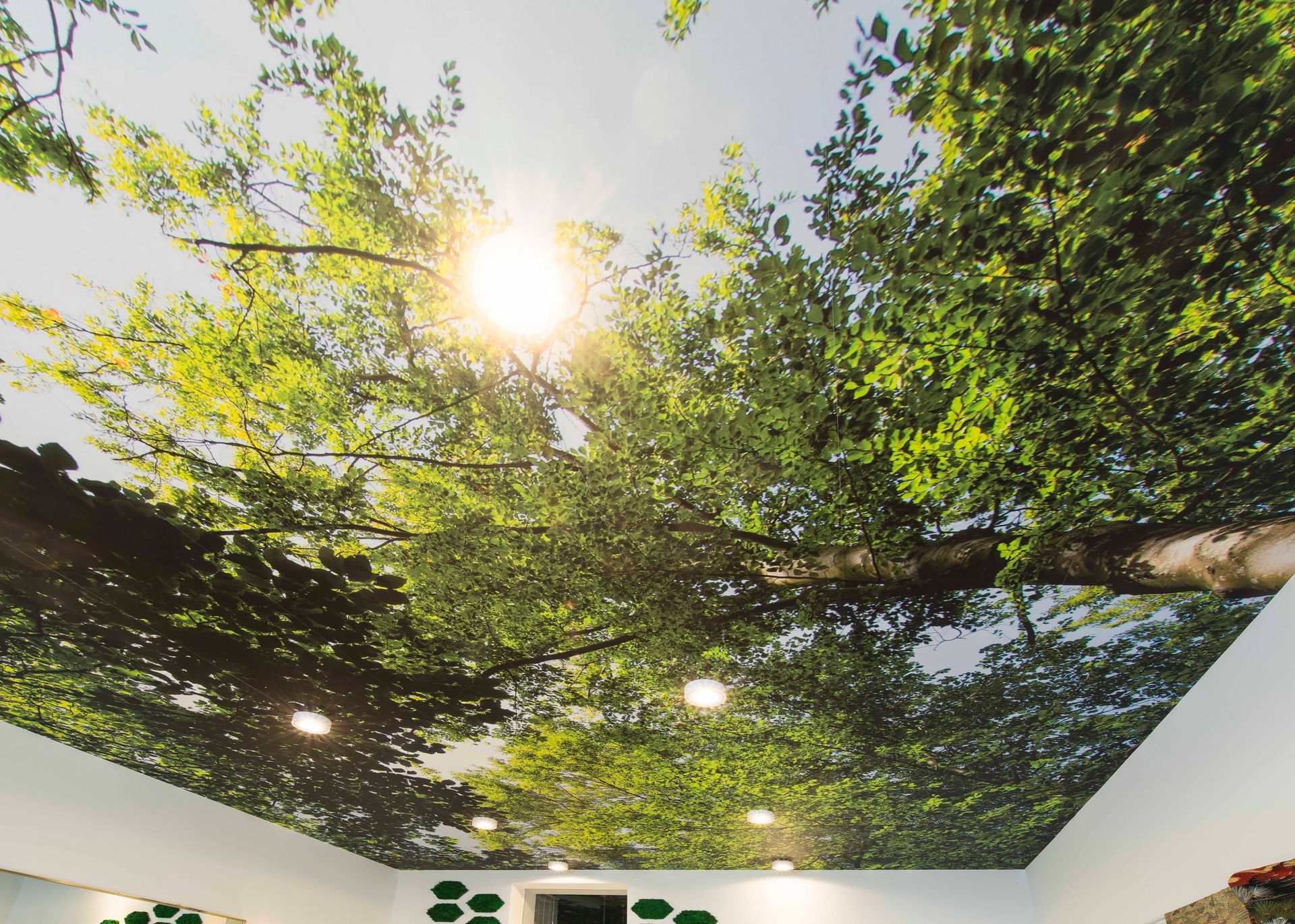 IM-WALD-SEIN® City Offices|Tumblingerstr. 14, 80337 München|Büro „Kronendach“|Waldtapete mit Leuchten für Komorebi-Effekt