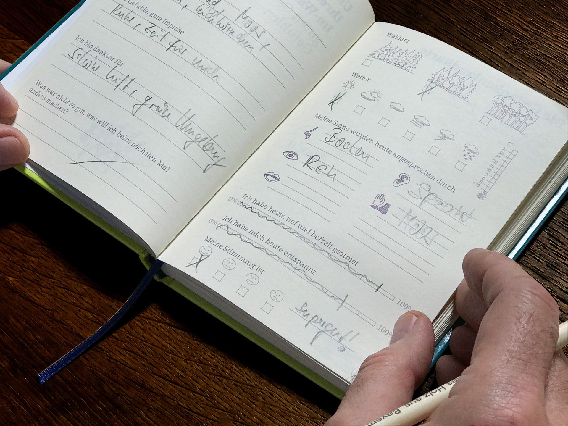 Ein Mann füllt eine Seite des Bullet-Journals IM-WALD-SEIN. Das Erlebnistagebuch der guten Gedanken und Gefühle aus