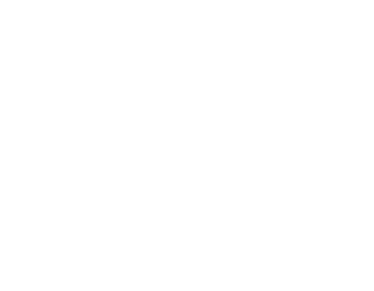 Logo: IM-WALD-SEIN® Institut für Waldmedizin und Waldtherapie, München｜Shinrin Yoku nach Dr. Qing Li｜IM-WALD-SEIN-Methode®