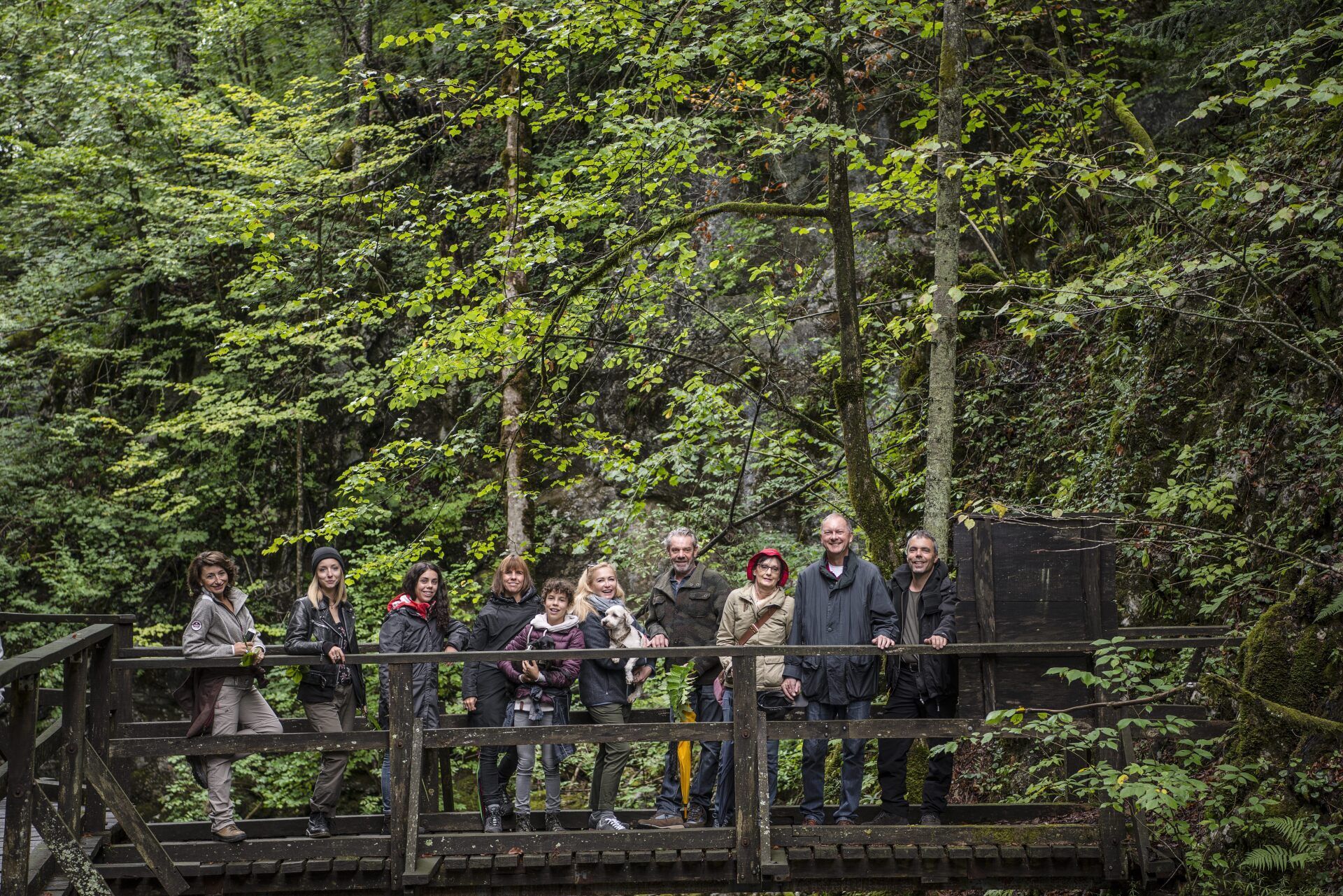 A tour group practices forest bathing as part of IM-WALD-SEIN® Biophilia Travel, IWSI's program for travelers