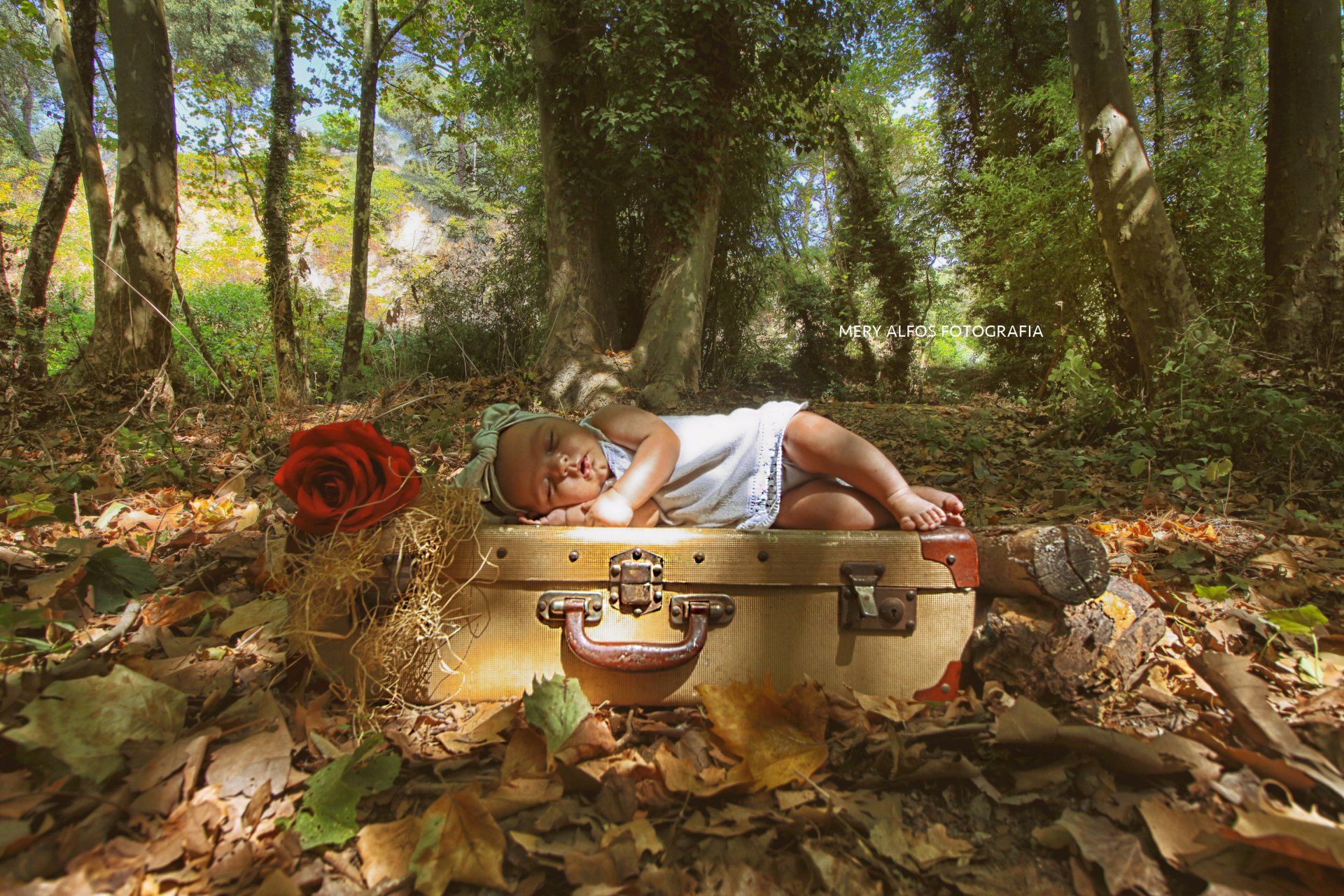 Mery Alfos fotógrafa embarazo y newborn en Granollers