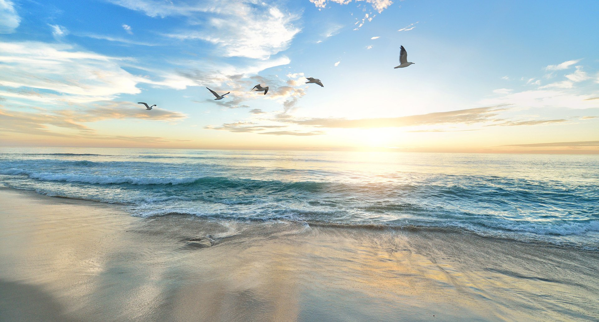 Hospizverein Ingolstadt e.V. - der Verein