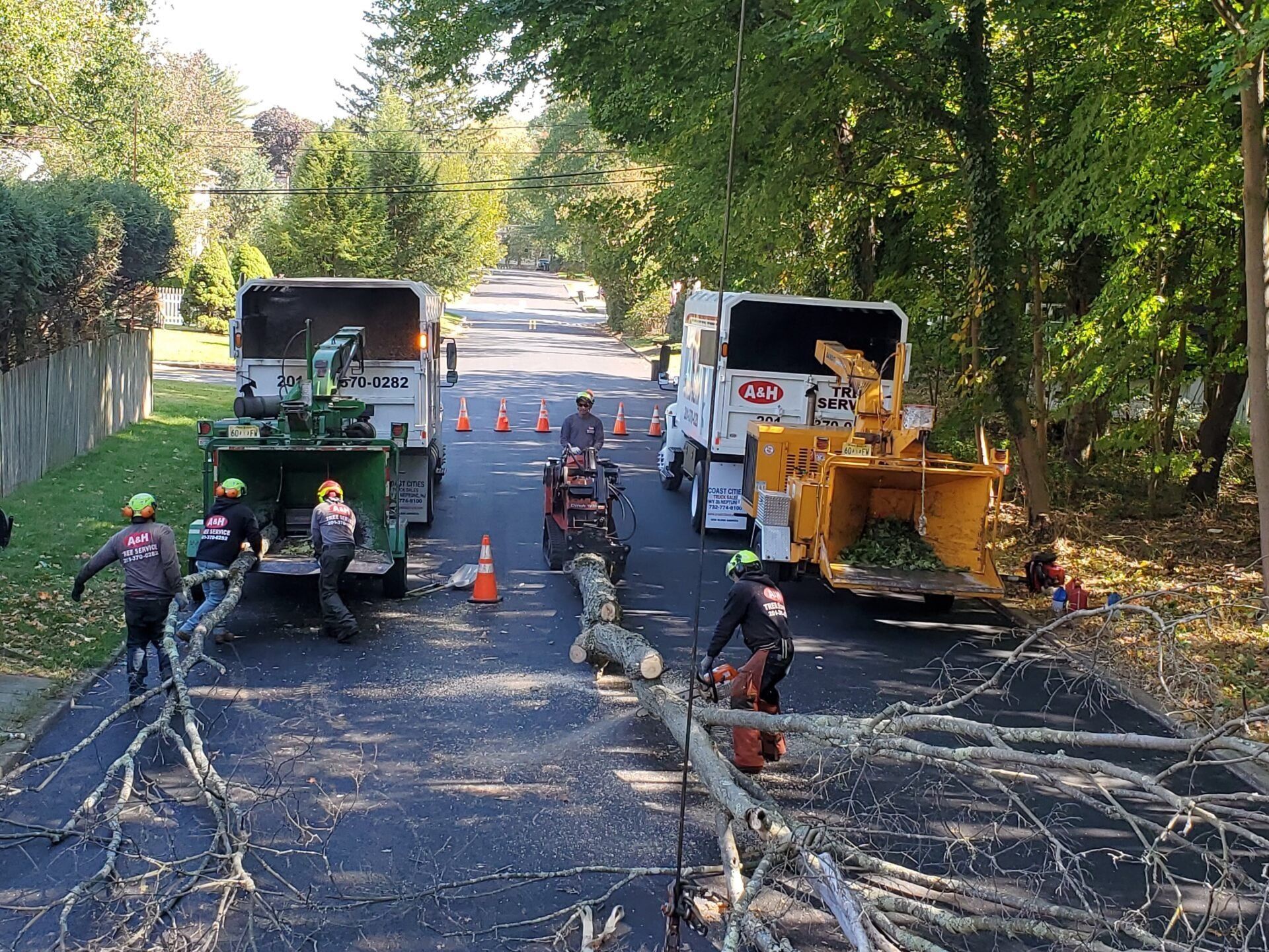 A&H Tree Service crew removing a tree