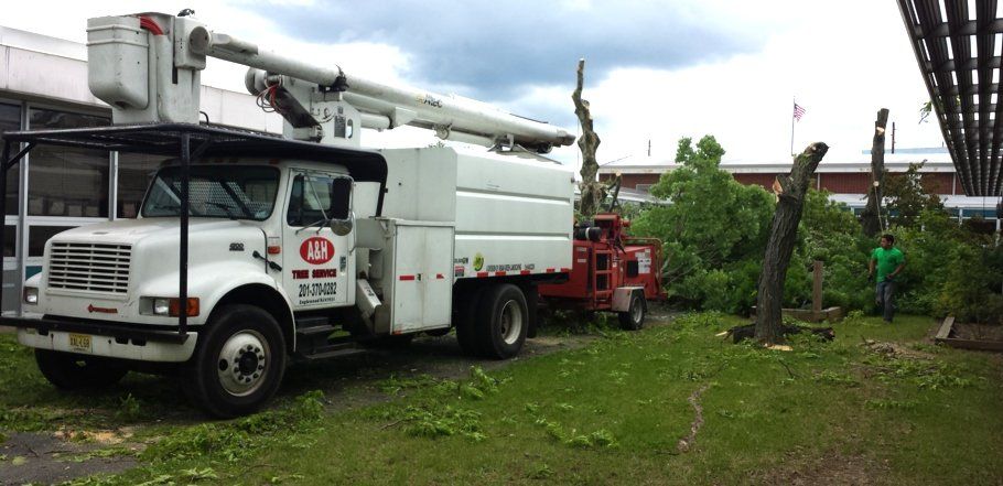 A&H truck providing tree removal and disposal