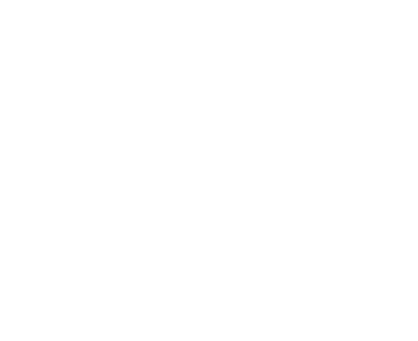 VDP Weingut Logo