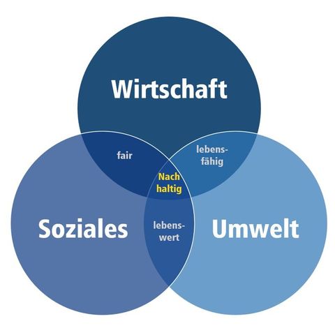 Nachhaltigkeit Nachhaltigkeit grüner Baum auf Wiese