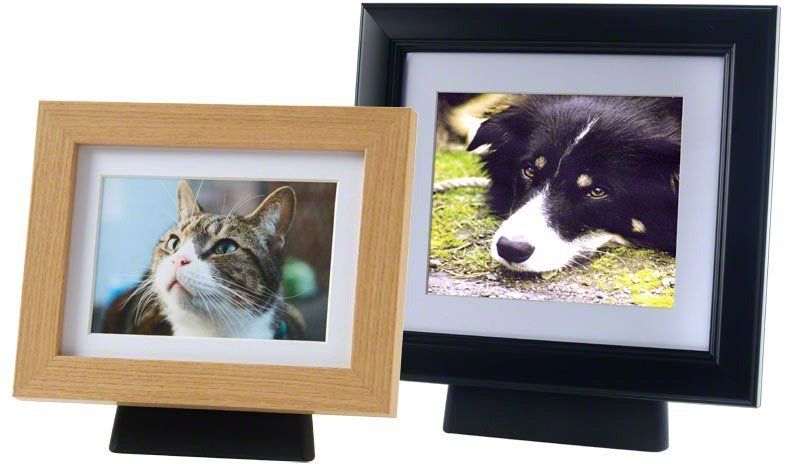 Framepod for pet ashes