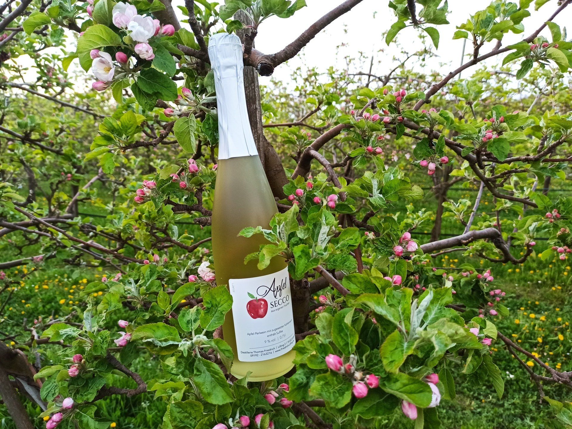 Apfelsecco Apfelsecco