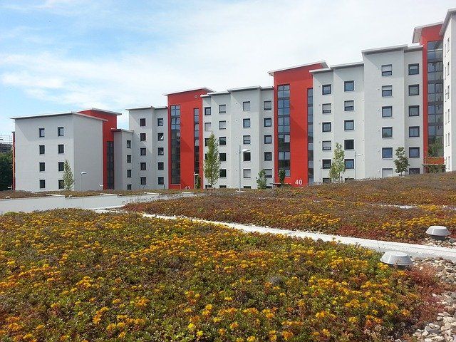 begrünte Plattenbausiedlung