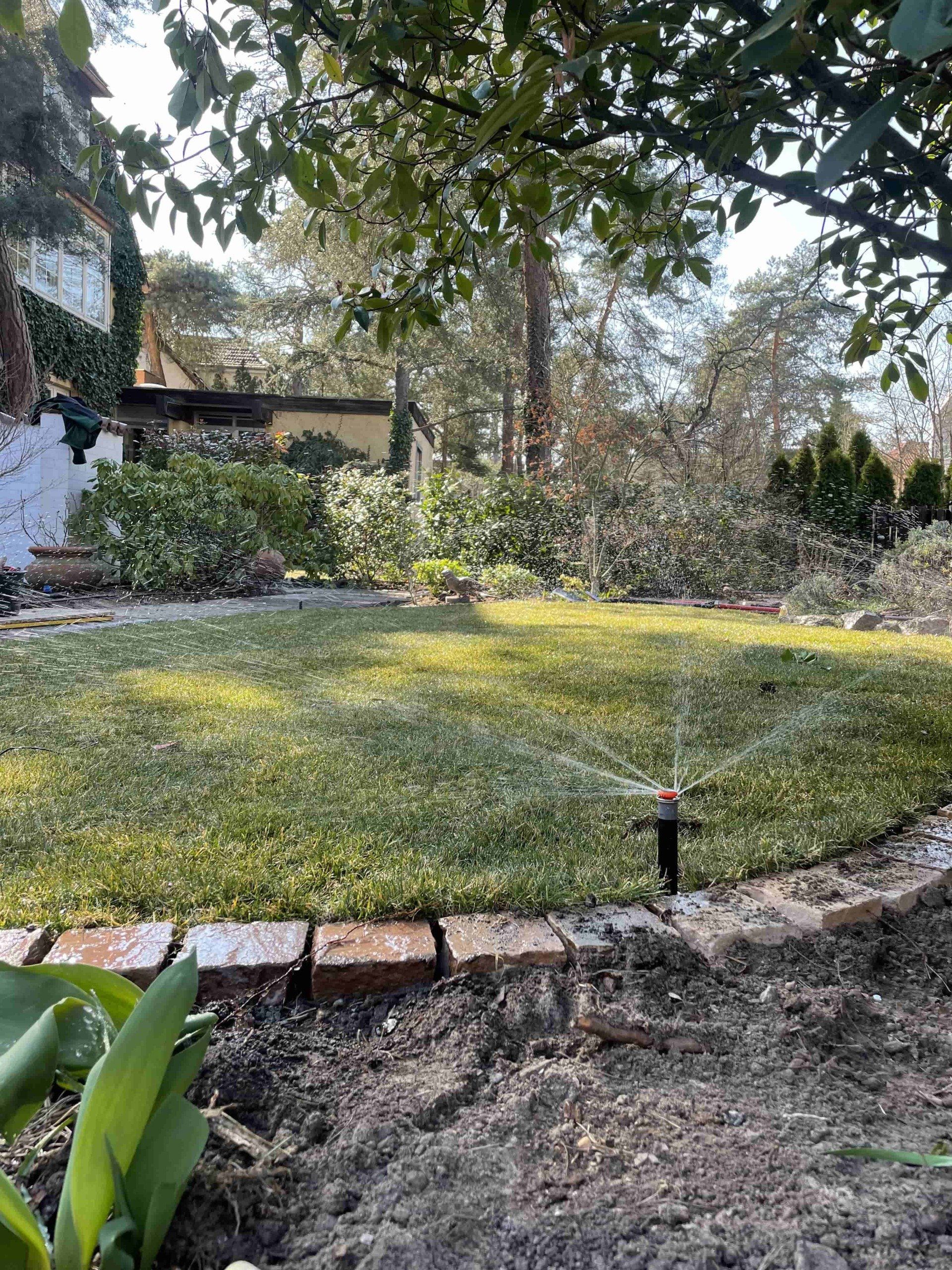 Rasenbewässerung in Mainz