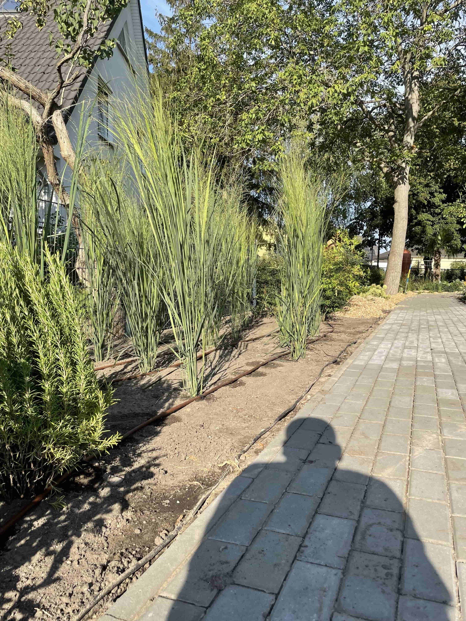 Pflanzenbewässerung