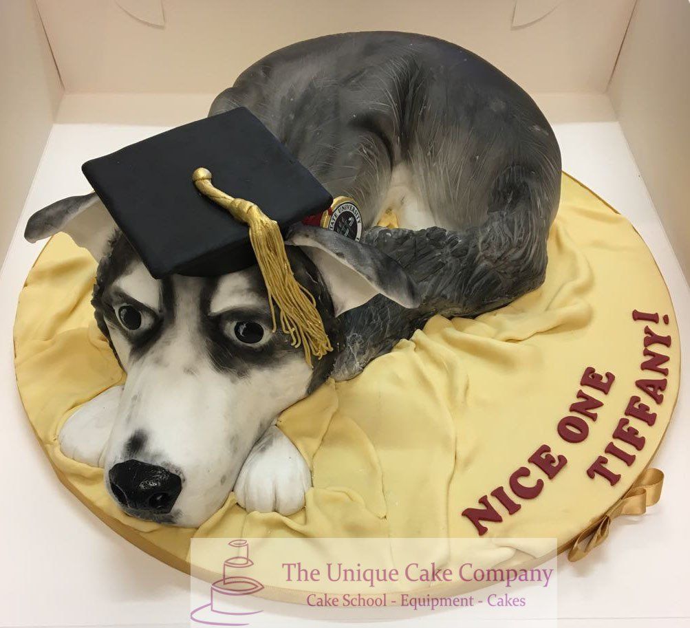 Celebration Dog Cake
