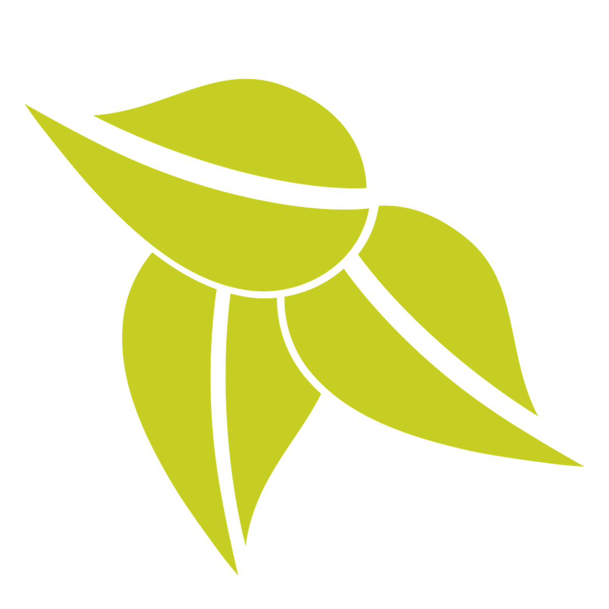 Meisterbetrieb Gartenbau Lang - Stefan Lang