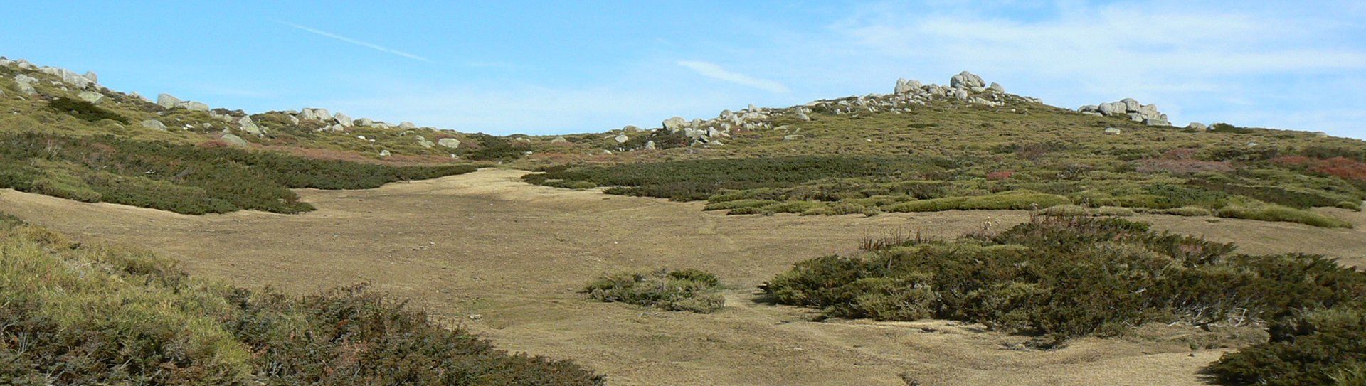 Plateau du Cuscionu