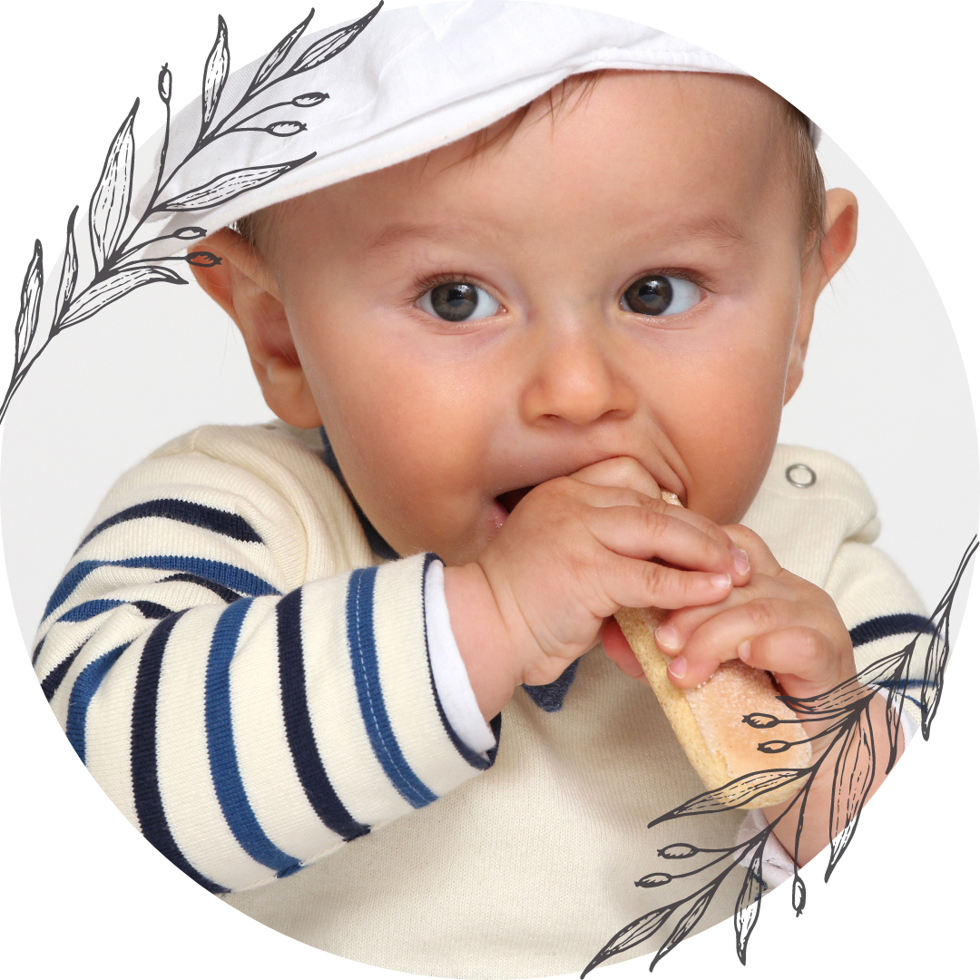 Beikost, Babybrei, Brei, Baby, Füttern, Stillen, Beikosteinführung, Baby led weaning, Fingerfood, Workshop, Beratung