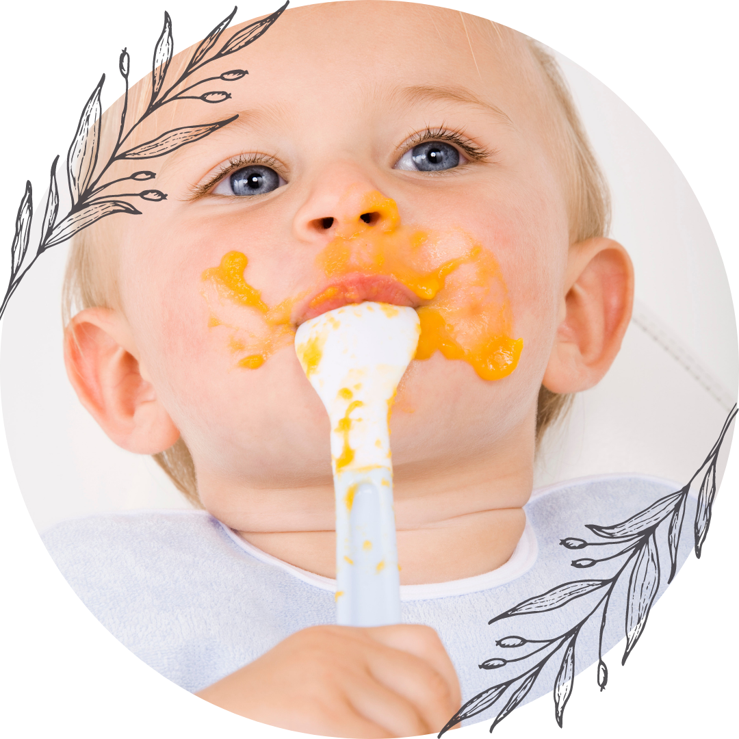 Beikost, Babybrei, Brei, Baby, Füttern, Stillen, Beikosteinführung, Baby led weaning, Fingerfood