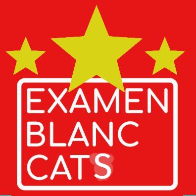 sbs uav meilleur que drone exam