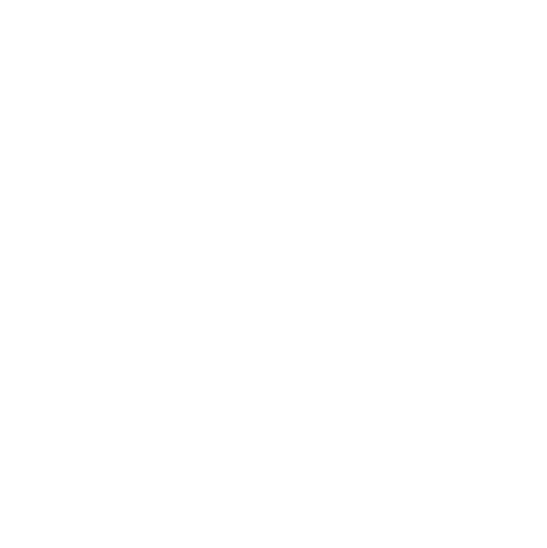 logo drone process