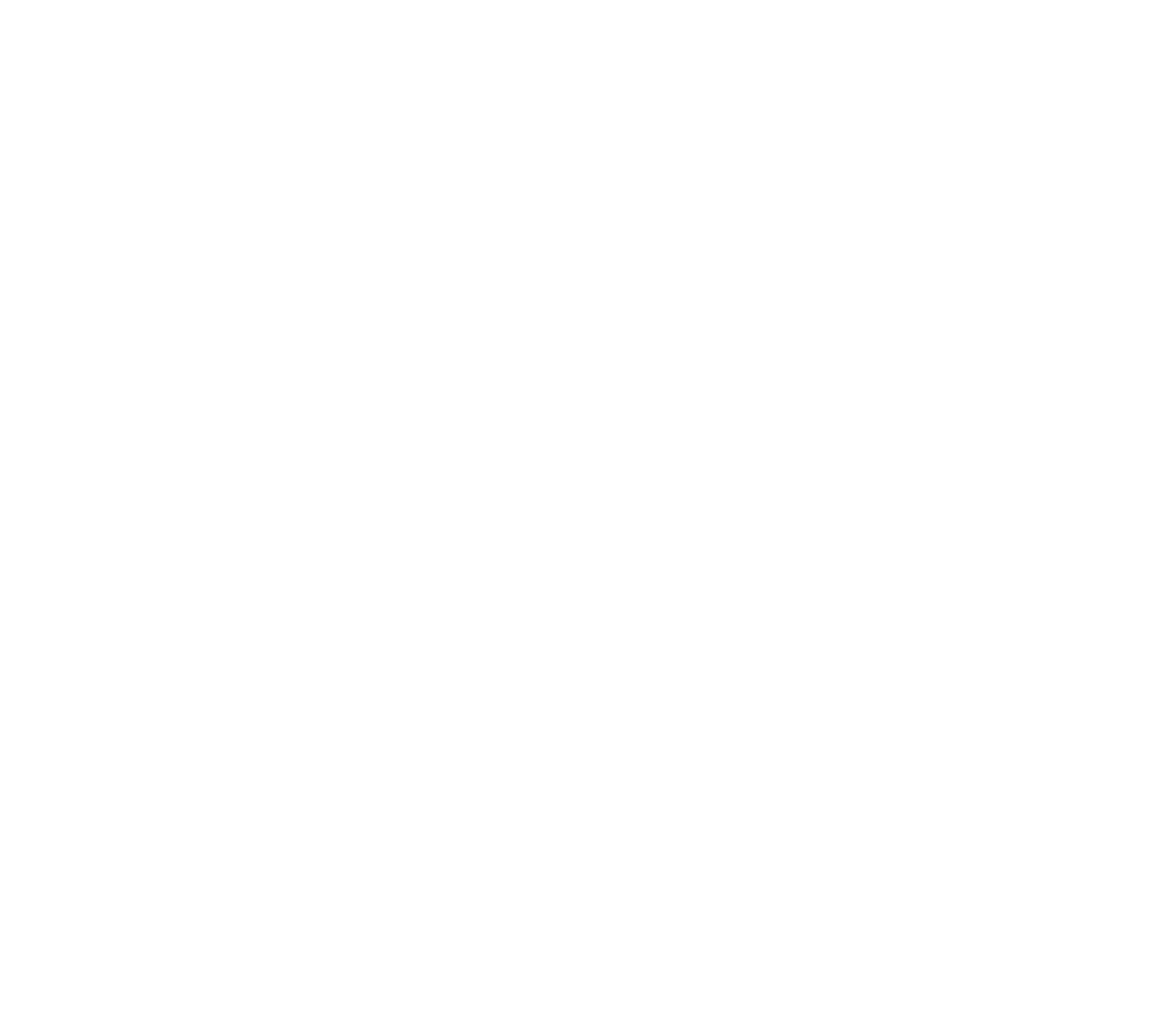 logo sbs uav