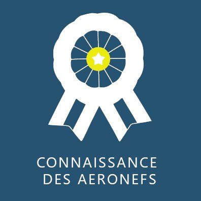 badge examen drone catt