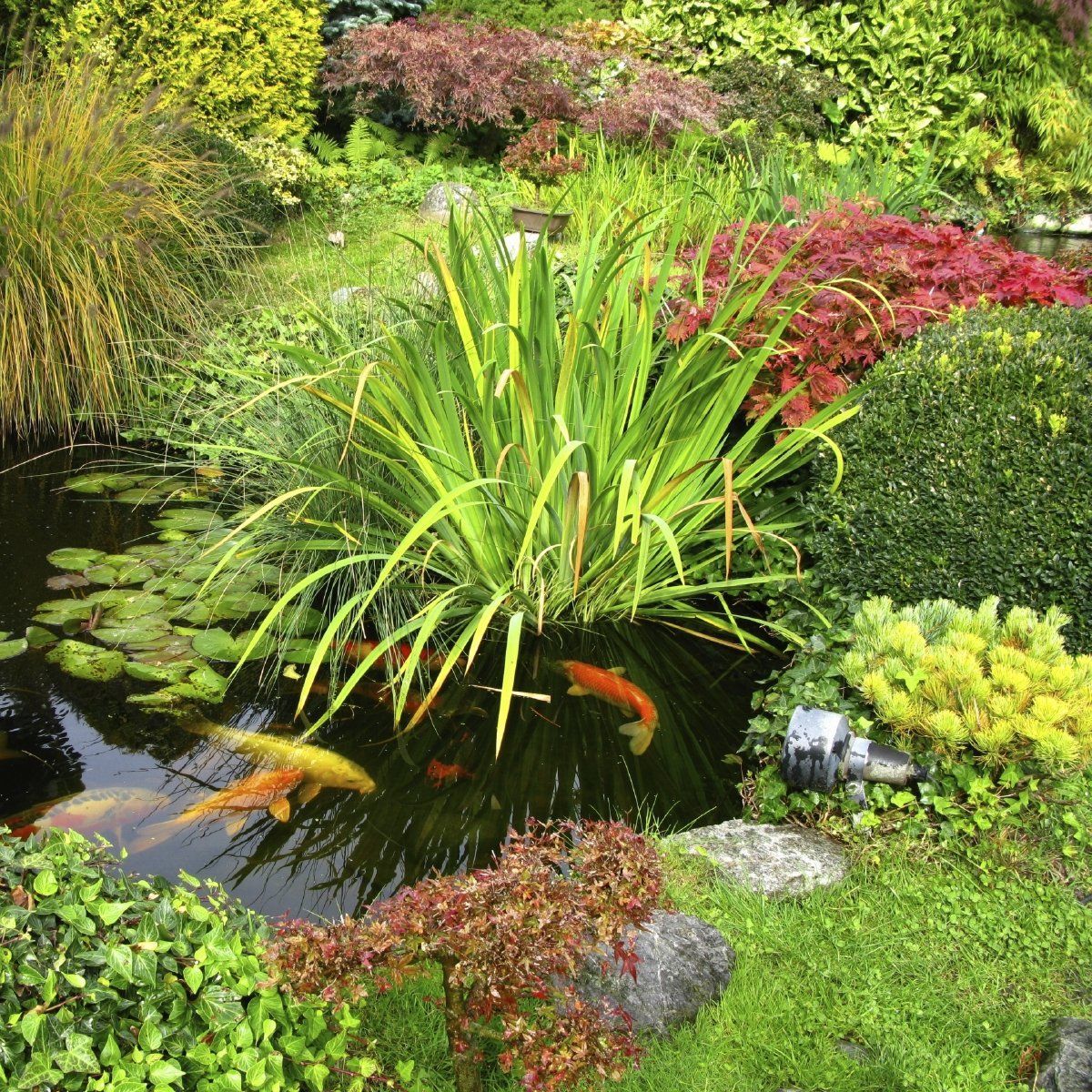 Gartenpflege und Grünschnitt als Einzelleistung oder Jahres-Abo