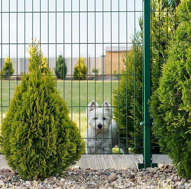 Gartenzaun, Gartenmauer, Sichtschutz für Ihr Zuhause