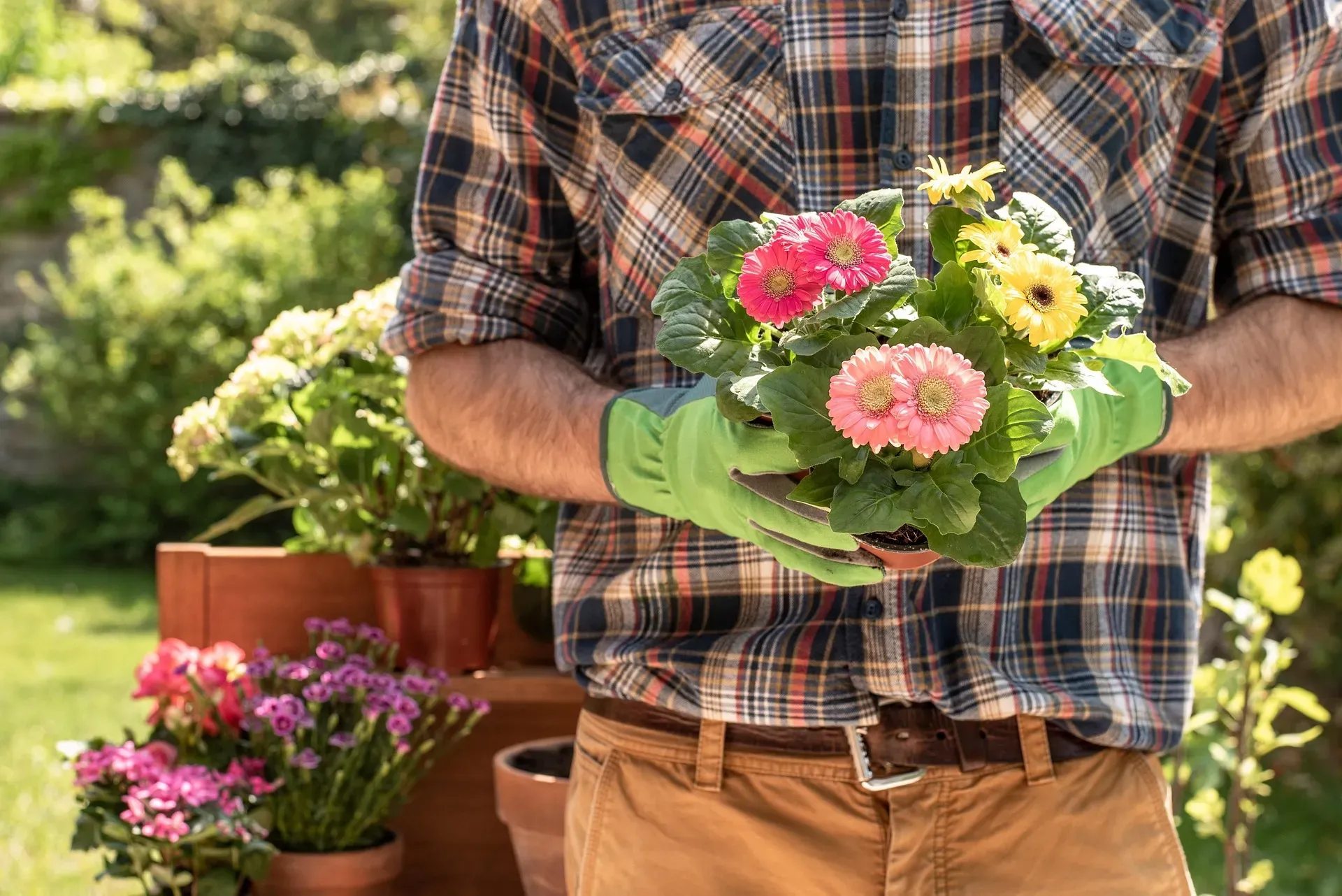 Wir bepflanzen Ihren Garten und kommen regelmäßig zur Pflege