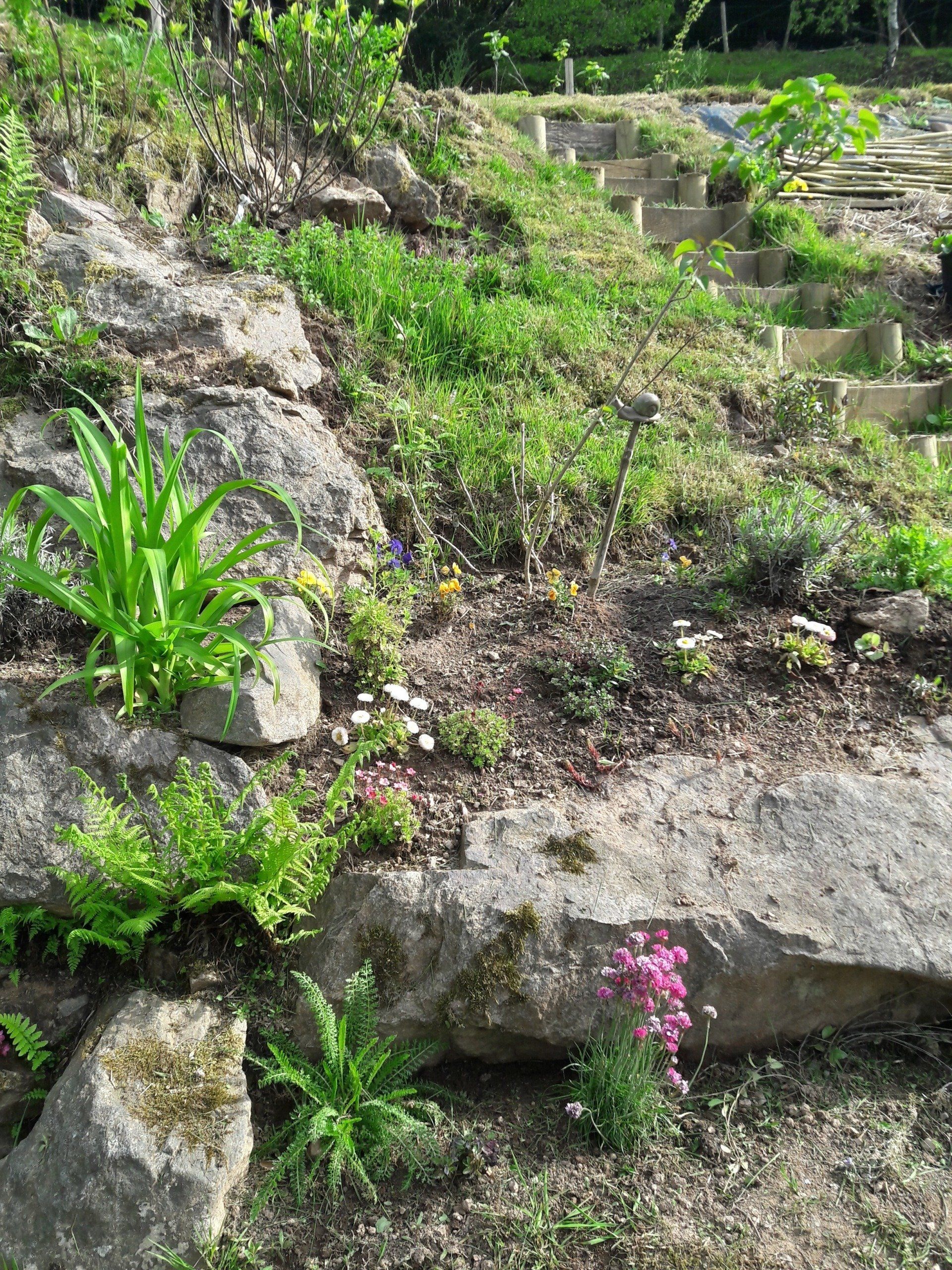 la jardin fleuri de Bilbo jardin maison hobbit