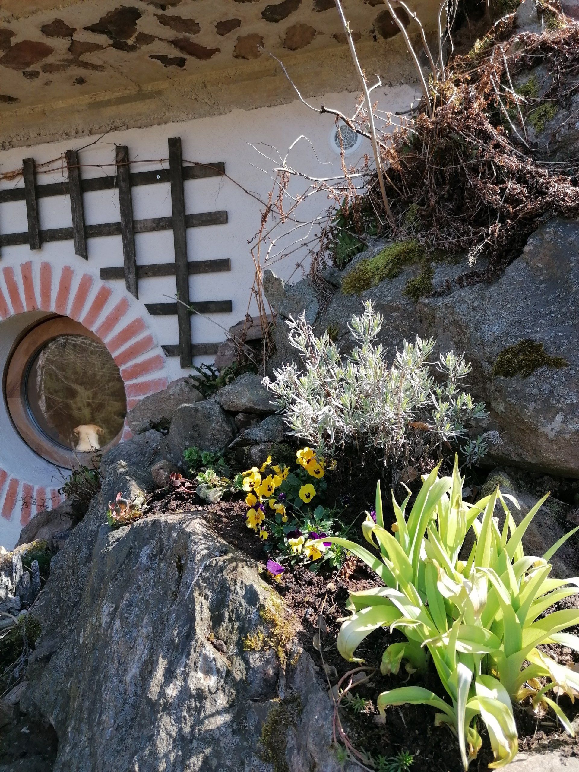 plantations de printemps à la maison de hobbot jardin maison hobbit