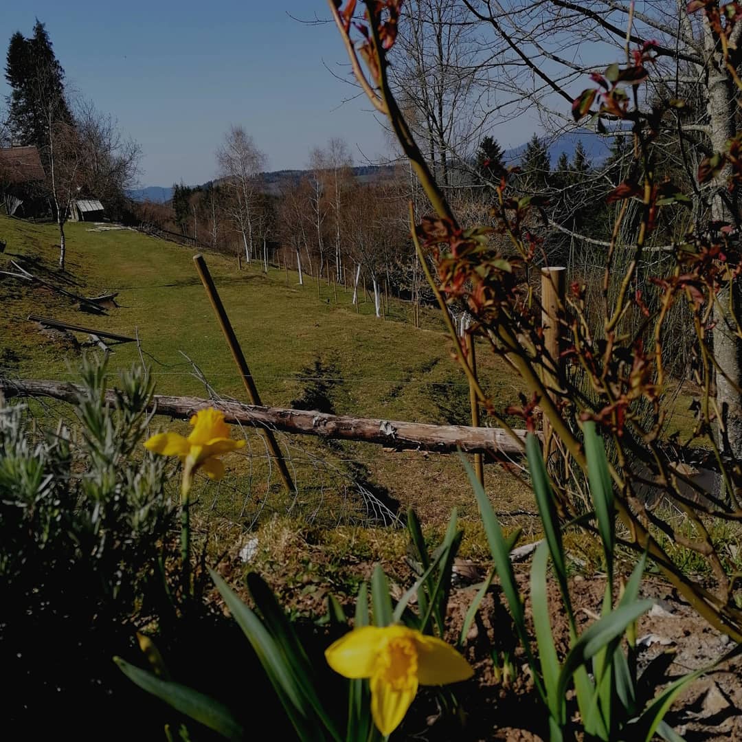 sur le toit du terrier jardin maison hobbit