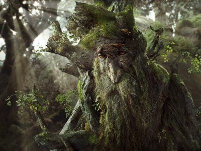 Ents sylvothérapie Sylvothérapie